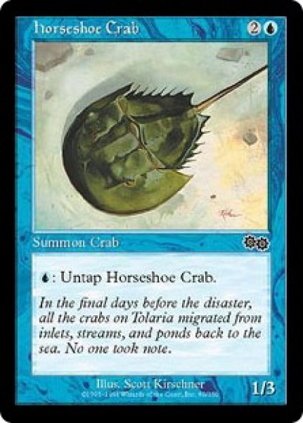 画像1: 4枚組 カブトガニ/Horseshoe Crab (1)